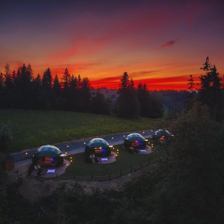 ホテル Peak Glamp & Jacuzzi ザコパネ エクステリア 写真